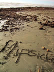 flipside