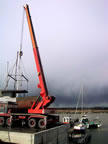 cranes in the docks