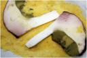 {barganews} porcini - wild mushrooms