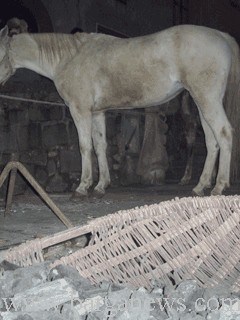 barga presepe vivente14.jpg