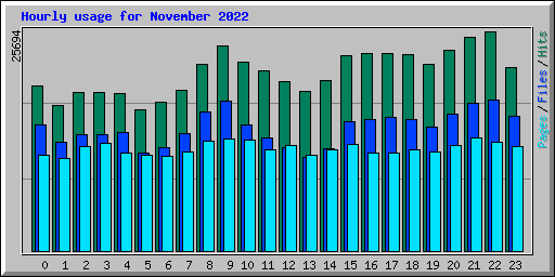 Hourly usage for November 2022
