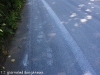 asfalto-ecologico-1