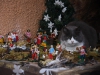 uno dei nemici naturali del presepe: il gatto di famiglia (via dell\'Asilo)