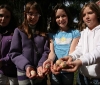 images of daily life in barga