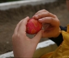 images of daily life in barga