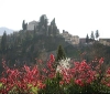 images of daily life in barga