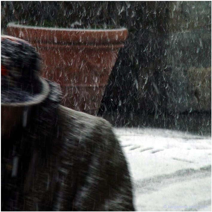 Snow – 29 January 2004