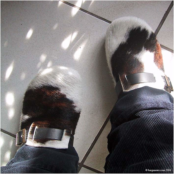 Lucca (4) – 2 March 2004