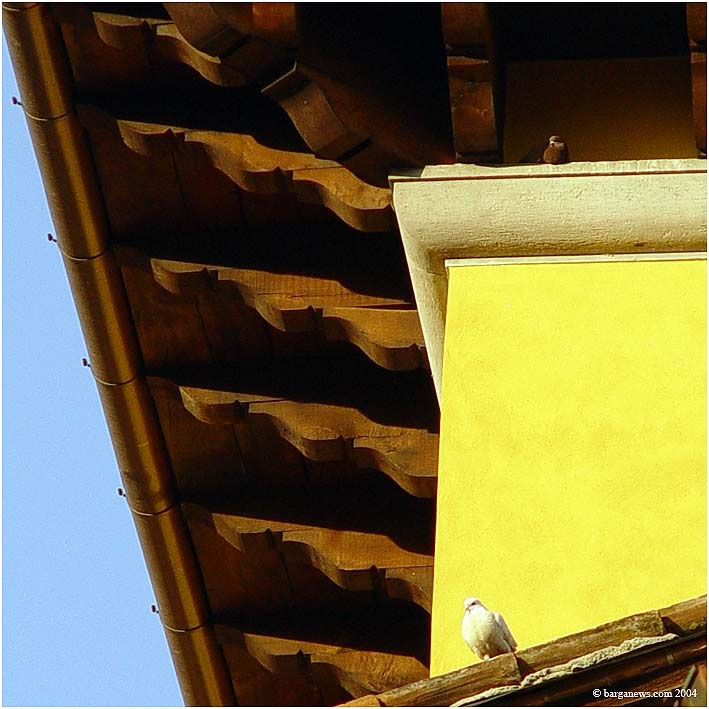 Barga Birds2 – 2 April 2004