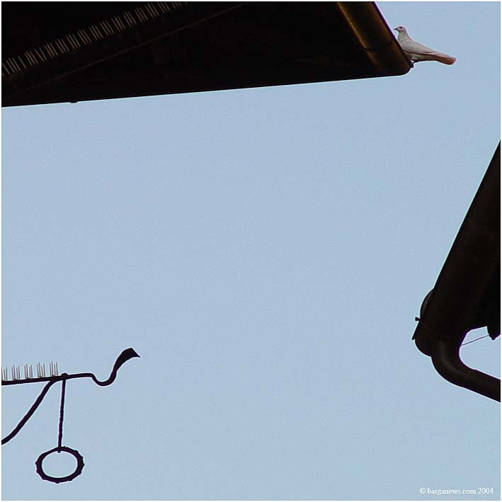 Barga Birds – 2 April 2004