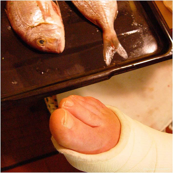 Fish Foot – 3 June 2004