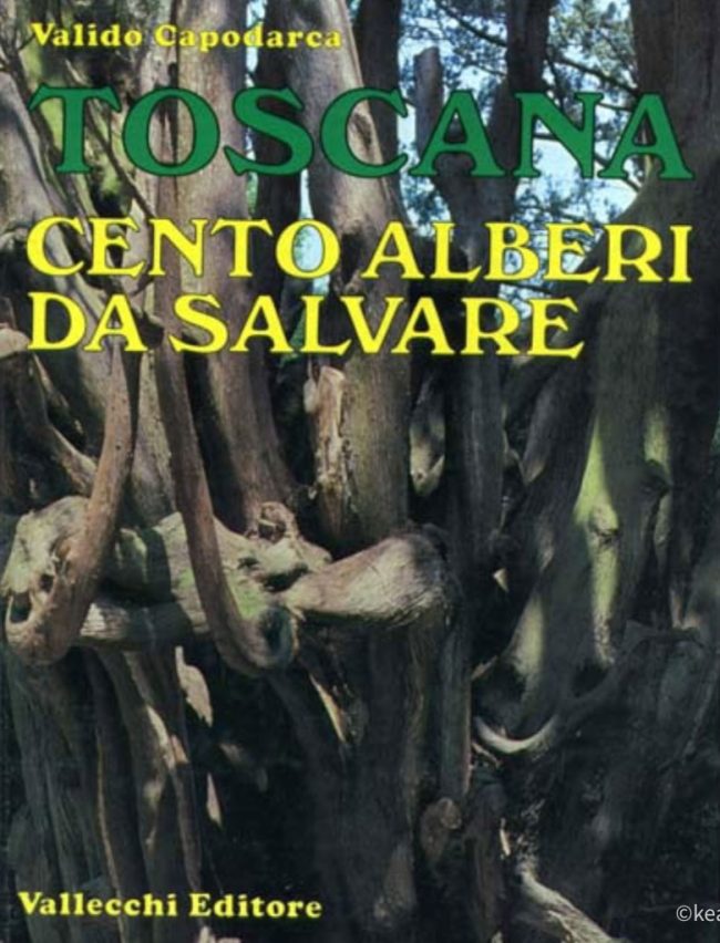 images from barga italy -62