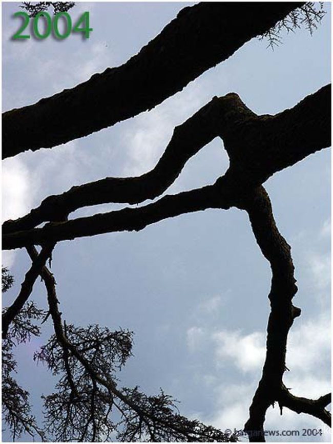 images from barga italy -67