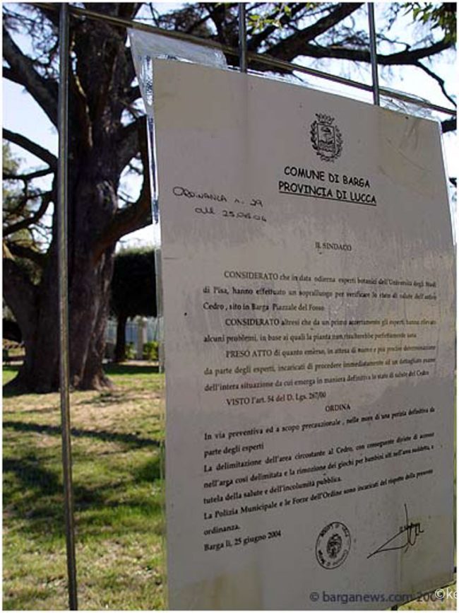 images from barga italy -69