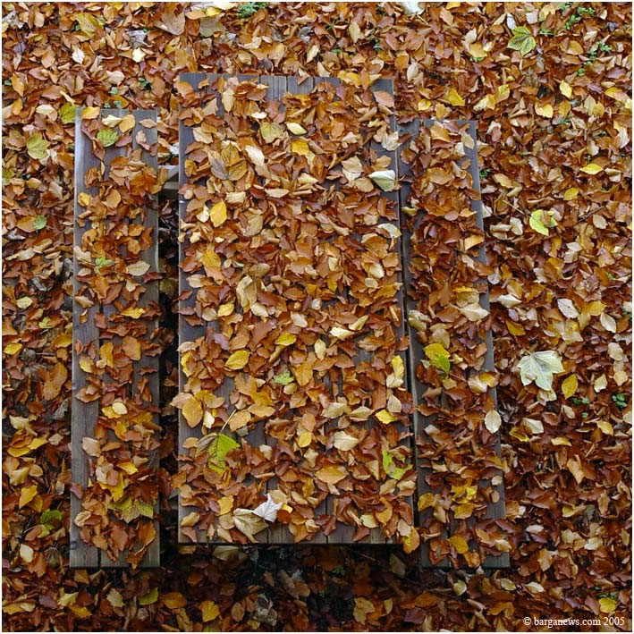 Barga Daily Image – 11 March 2005