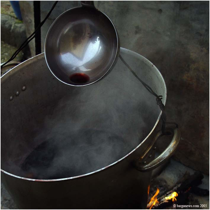 Barga Daily Image – 14 March 2005