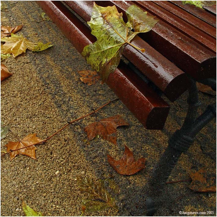 Barga Daily Image – 30 March 2005