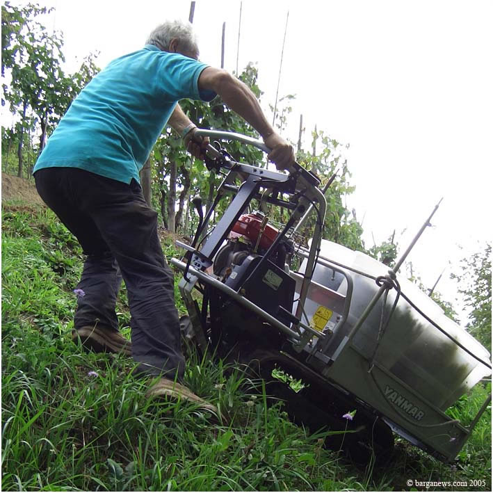 Barga Daily Image – 11 April 2005