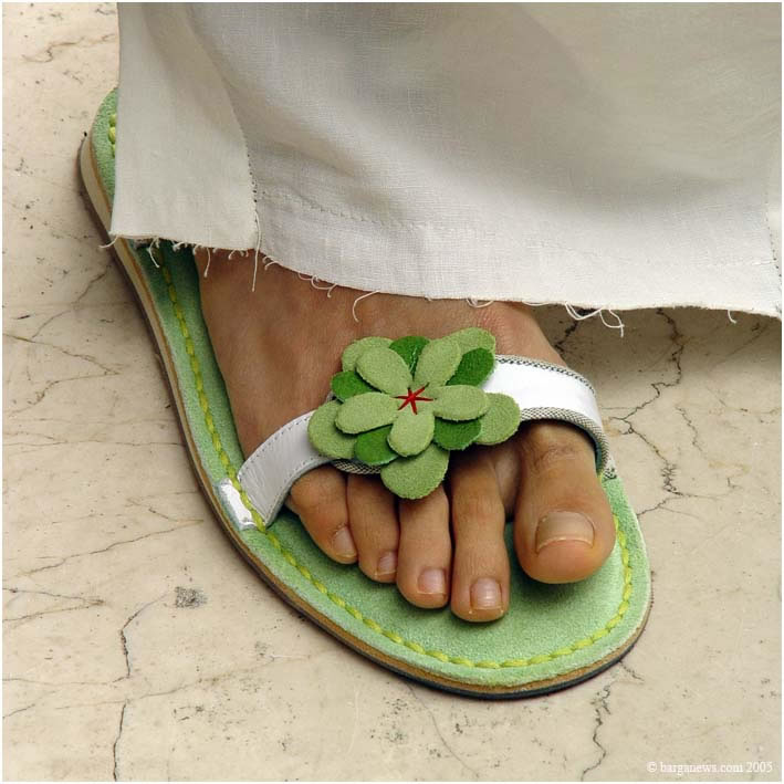 Barga Daily Image – 16 April 2005