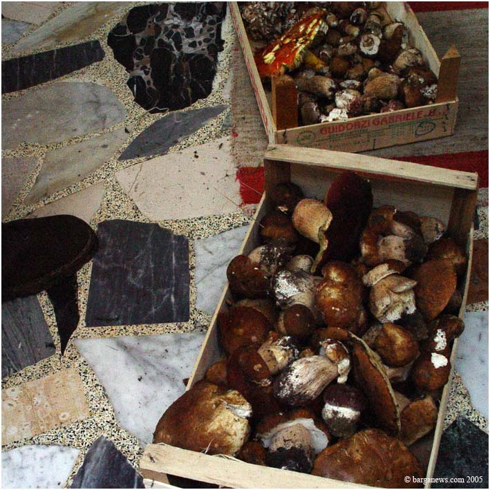 Barga Daily Image – 20 April 2005