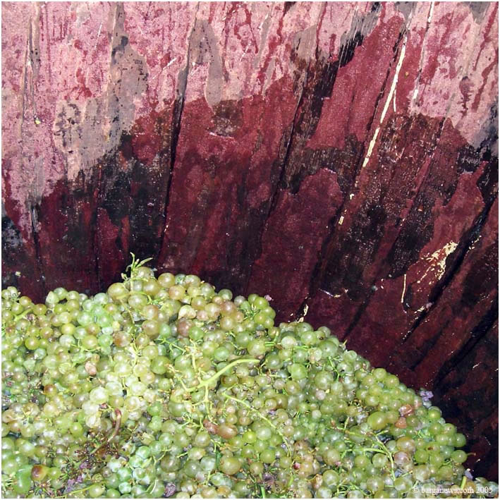 Barga Daily Image – 22 April 2005