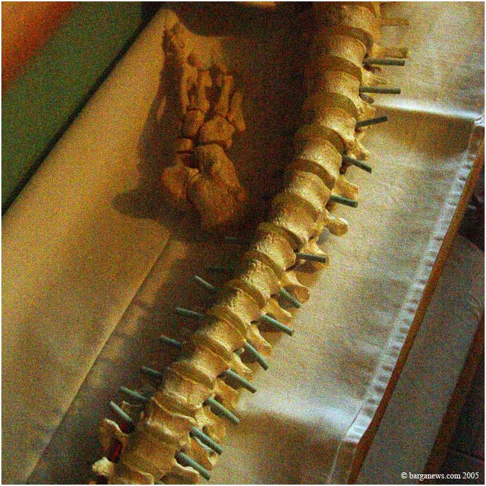 Barga Daily Image – 29 April 2005