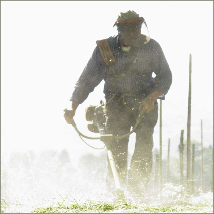 Barga Daily Image – 9 May 2005