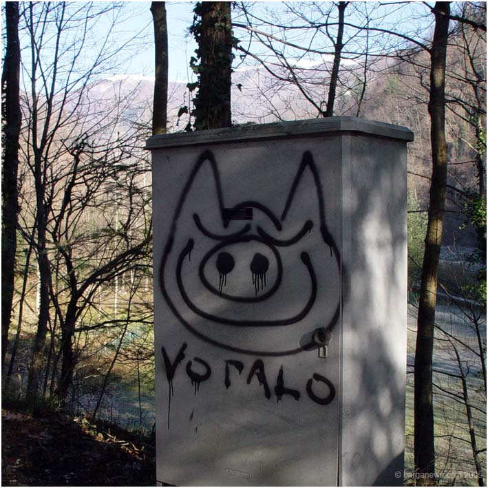 Barga Daily Image – 31 May 2005