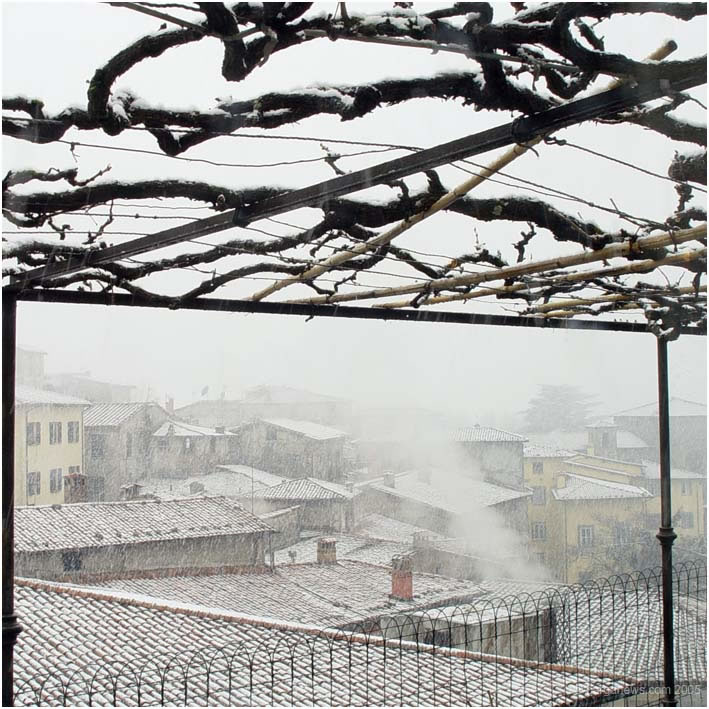 Barga Daily Image – 14 June 2005