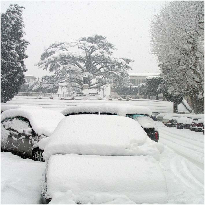 Barga Daily Image – 19 June 2005