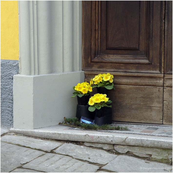 Barga Daily Image – 29 June 2005