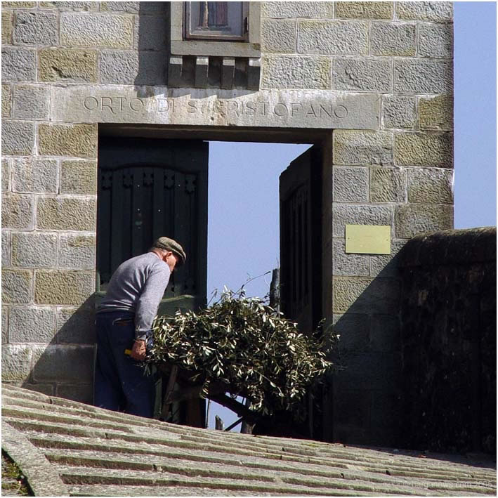 Barga Daily Image – 3 July 2005