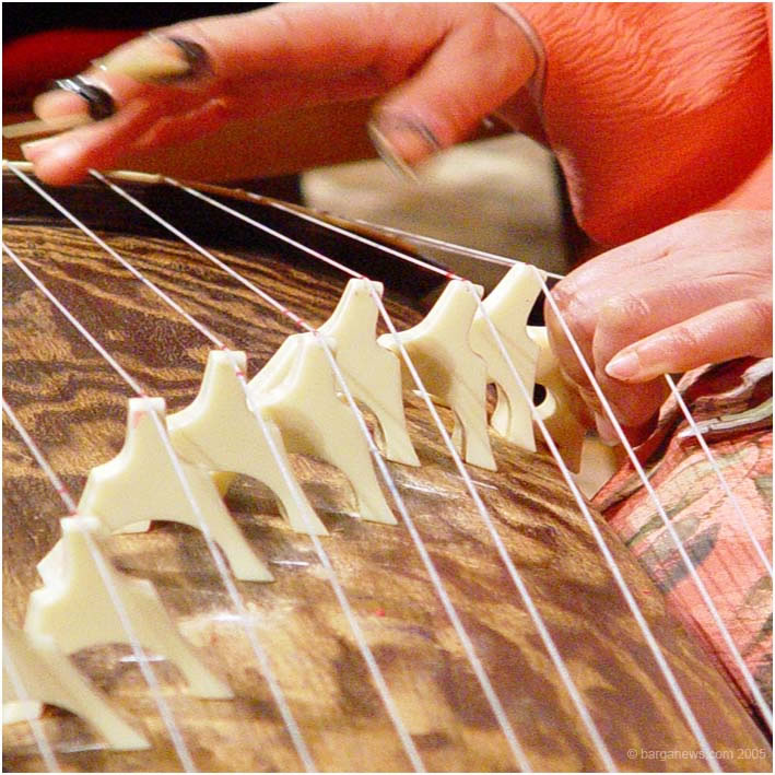 Barga Daily Image – 5 July 2005