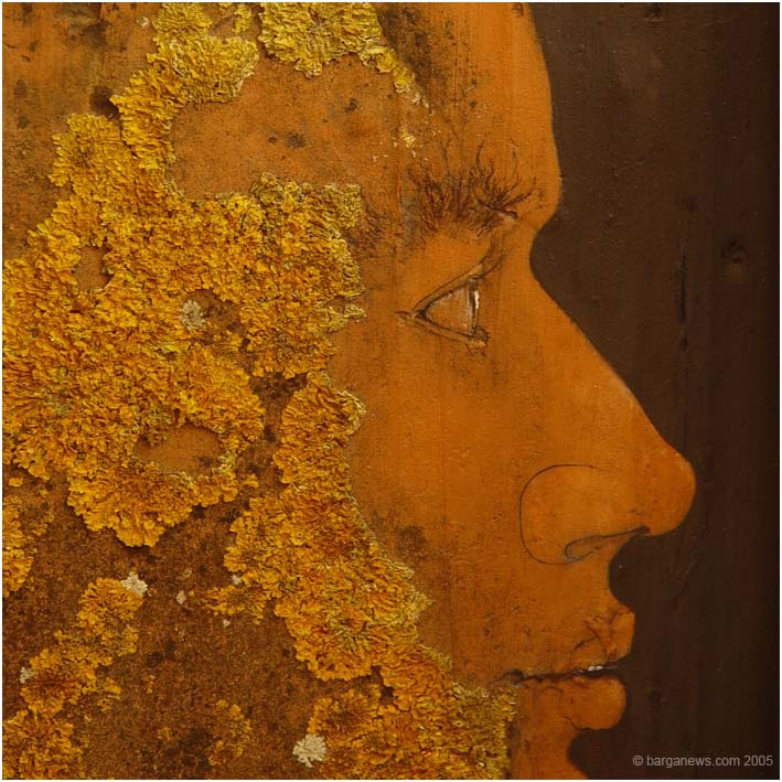 Barga Daily Image – 29 July 2005