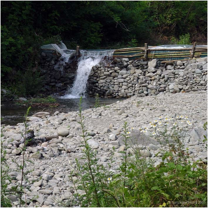 Barga Daily Image – 25 August 2005