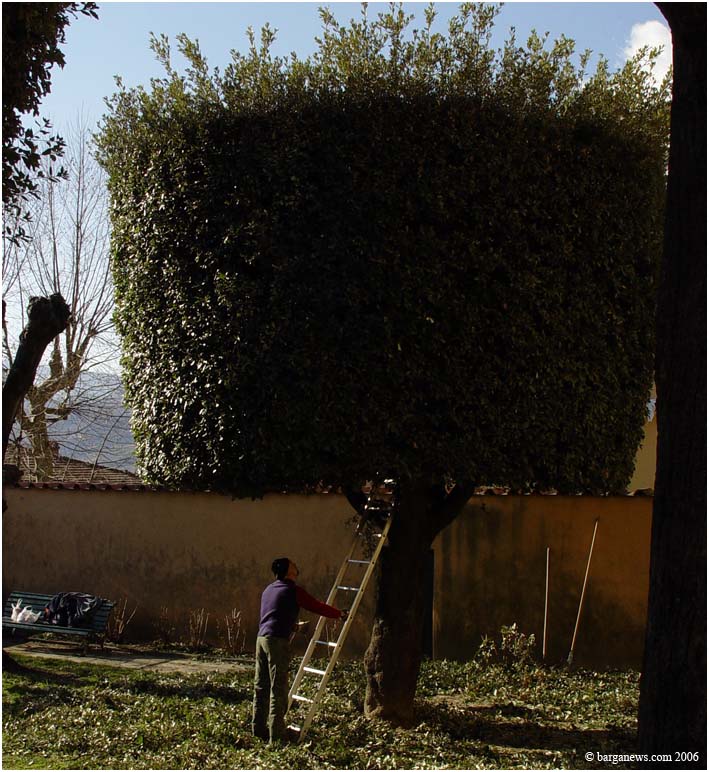 Barga Daily Image – 1 March 2006