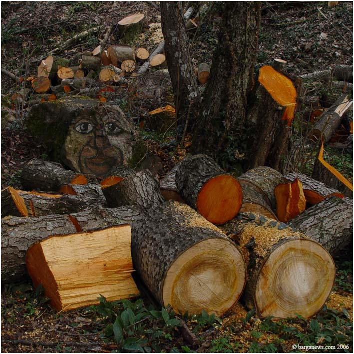 Barga Daily Image – 26 March 2006