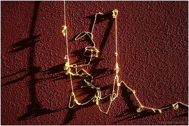 Barga Daily Image – 18 February 2007