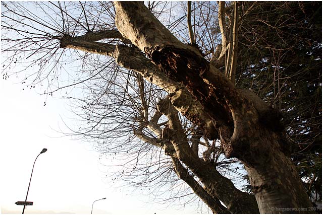 Barga Daily Image – 28 February 2007