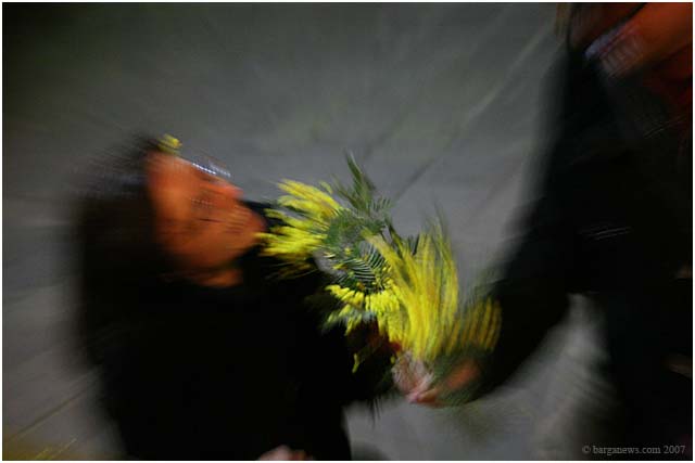 Barga Daily Image – 5 March 2007