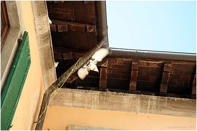 Barga Daily Image – 8 March 2007