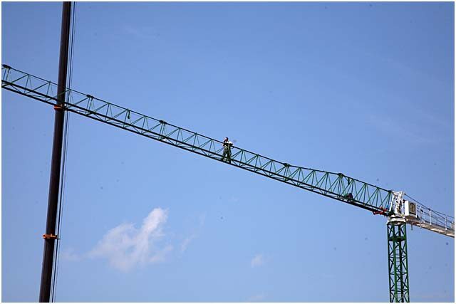 doublecranes in barga