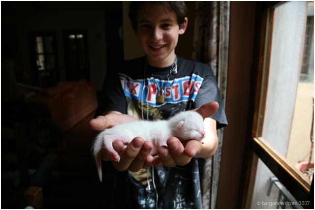 Barga Daily Image – 10 June 2007