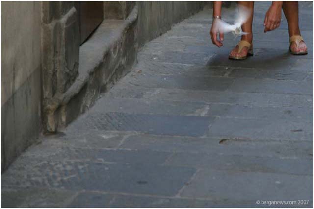 Barga Daily Image – 24 June 2007