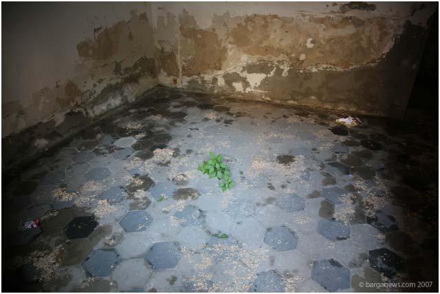 Barga Daily Image – 27 June 2007