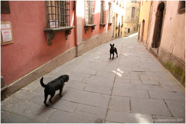 Barga Daily Image – 4 July 2007