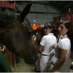 {barganews}  Music in the Riding School