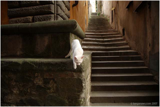 Barga Daily Image – 16 August 2007