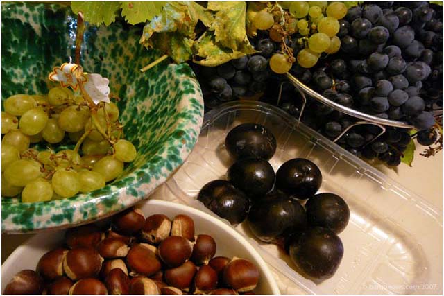 Barga Daily Image – 17 September 2007