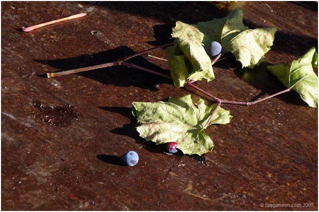 Barga Daily Image – 1 October 2007